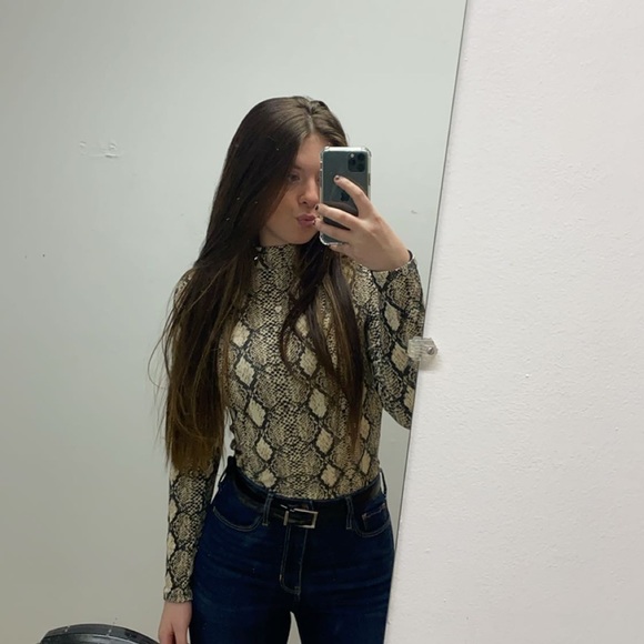 Meet your posher, Bailey - Picture 4 of 6